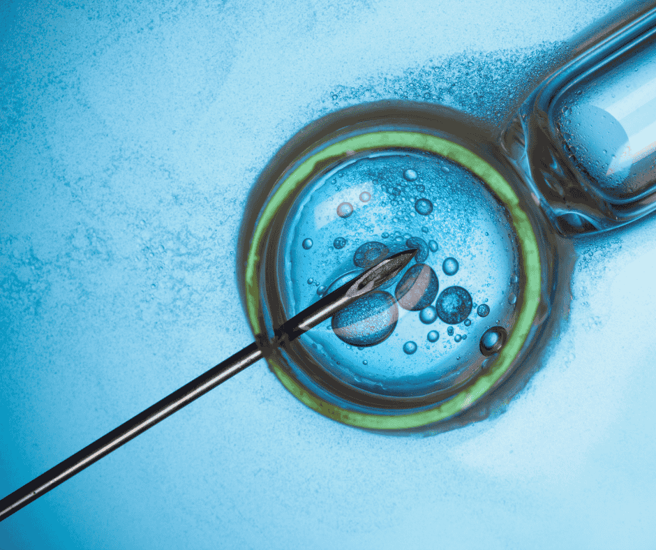 IVF Embryo Transfer