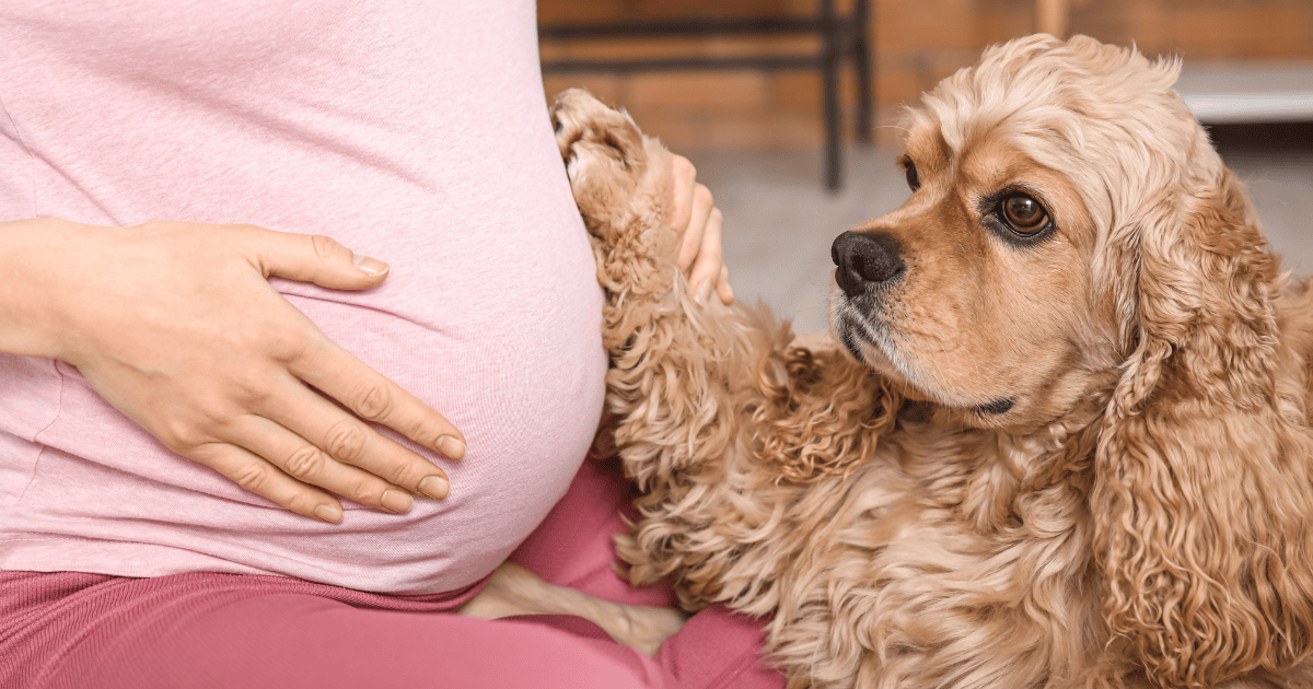 The Comfort of Having a Dog During IVF (and What I’ve Noticed Since)